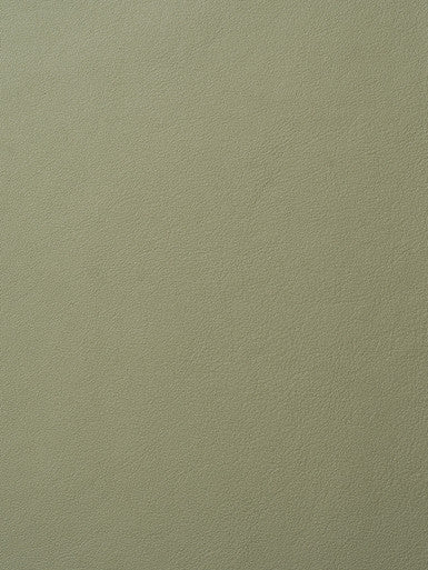 Leather Grade G: Elmosoft Artichoke swatch