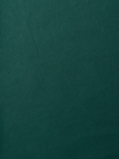 Leather Grade G: Elmosoft Jade Green swatch