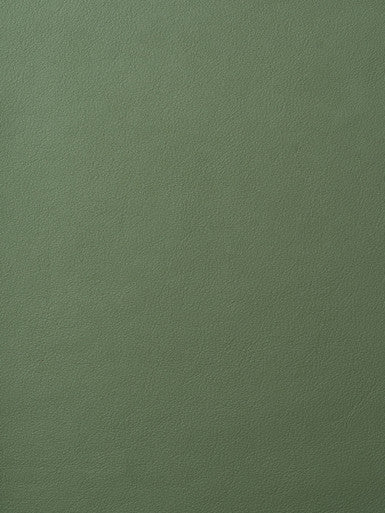 Leather Grade G: Elmosoft Moss swatch
