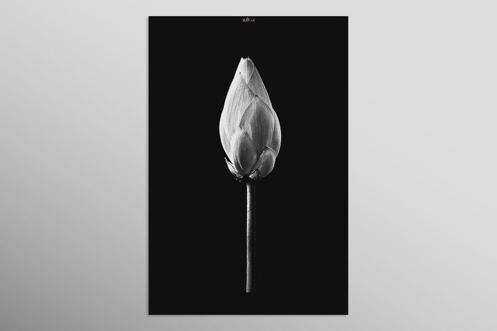 Noir Bloom Radiance — Haptic 3D Embossed + High-Gloss Lacquer Print Home &amp; Garden > Decor > Artwork > Posters, Prints, &amp; Visual Artwork Insigne Art Design