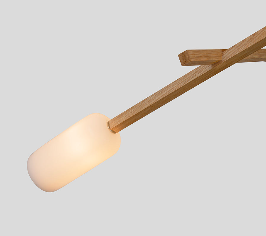 Locus Chandelier
