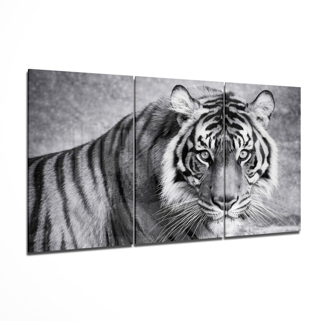 Snow Tiger Mega Glass Wall Art Wall Decoration Insigne
