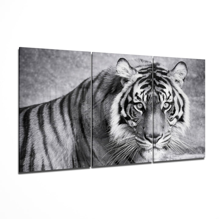 Snow Tiger Mega Glass Wall Art Wall Decoration Insigne