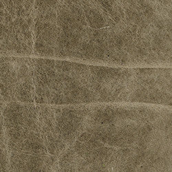 Leather Grade J: Mont Blanc Fern swatch