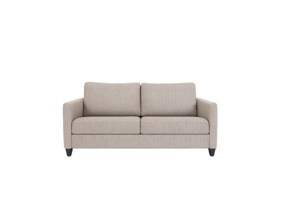 Naomi Silver Sleeper Sleeper Sofas American Leather