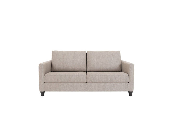 Naomi Silver Sleeper Sleeper Sofas American Leather