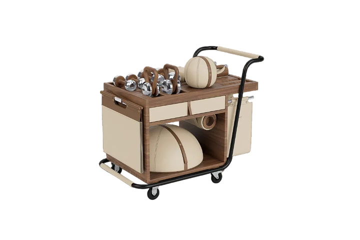 SOPHIA Fitness Cart Medicine Ball Set PENT Fitness