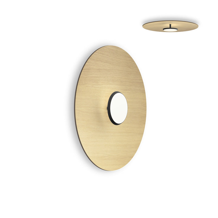 Sky Dome Flush Wood