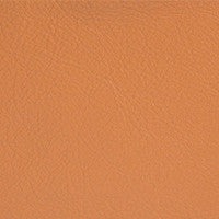 Leather Grade G: Elmosoft Tan swatch