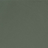 Leather Grade G: Elmosoft Olive swatch