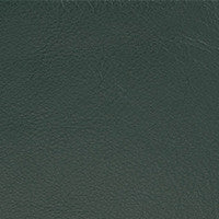 Leather Grade G: Elmosoft Hunter Green swatch