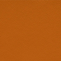 Leather Grade G: Elmosoft Cheddar swatch
