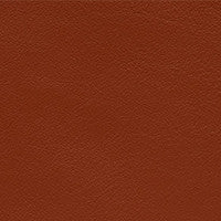 Leather Grade G: Elmosoft Autumn Leaf swatch