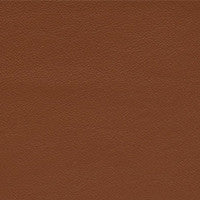 Leather Grade G: Elmosoft Almond swatch