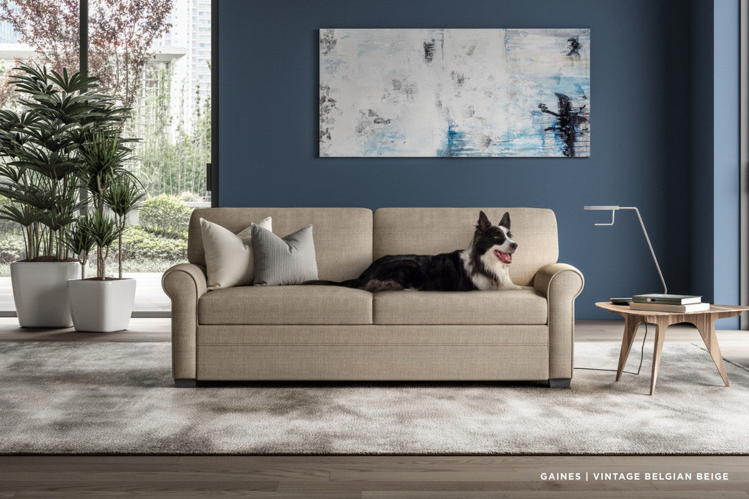 Gaines Comfort Sleeper American Leather