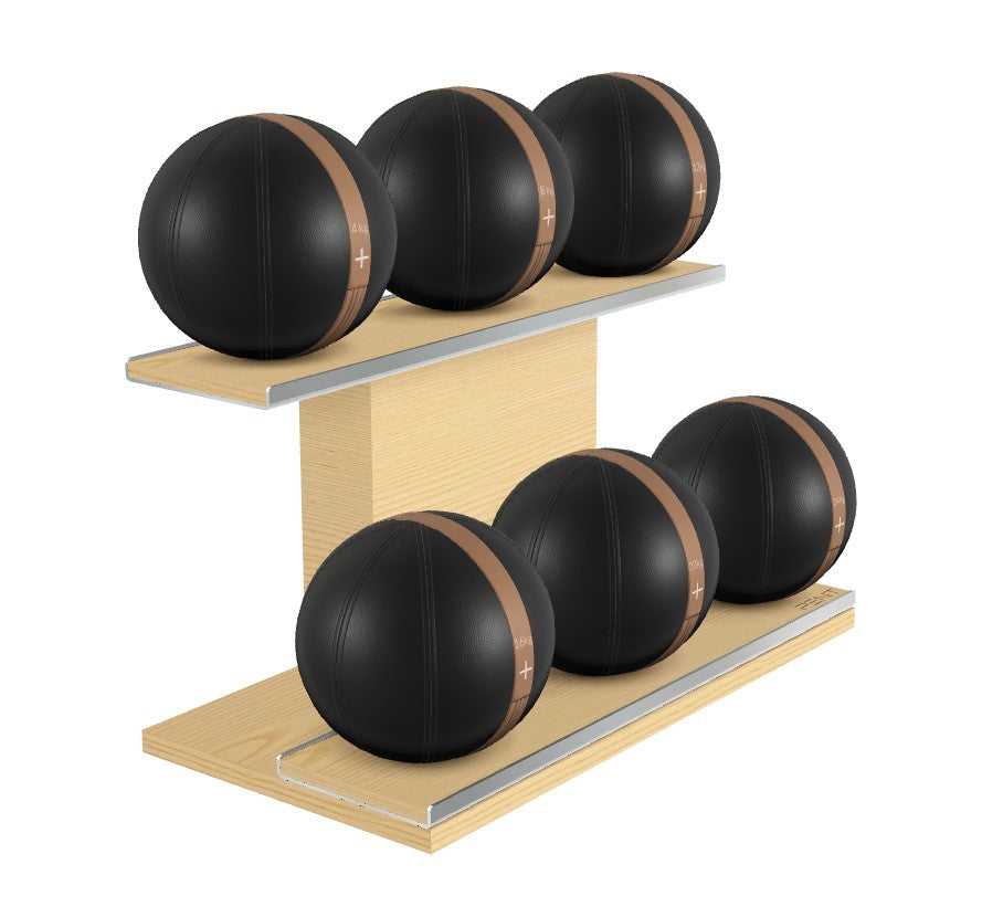 MOXA Luxury Leather Medicine Ball Set | Pent Fitness Exclusive