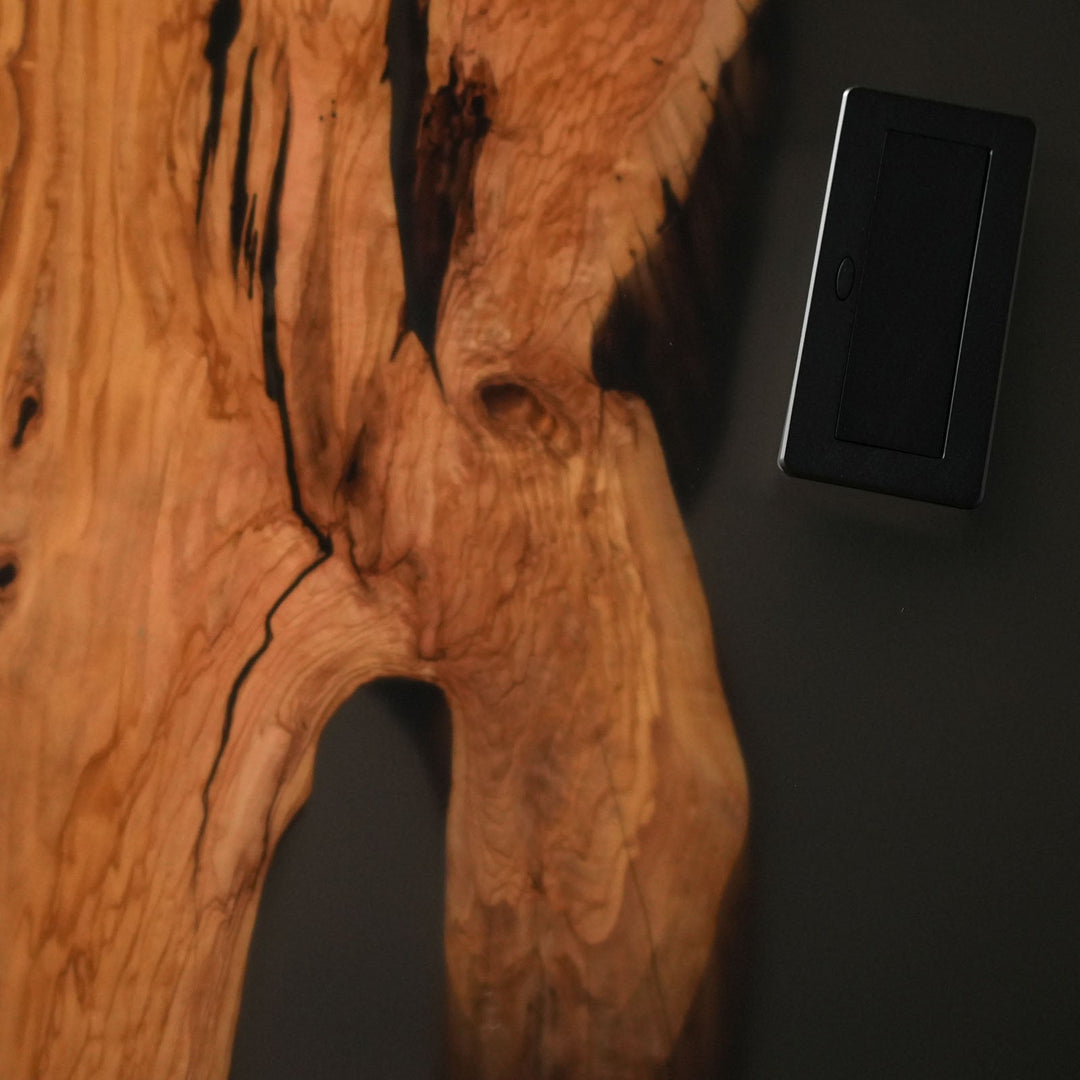 Olive Wood Black Epoxy Conference Table by Thomas Dawn