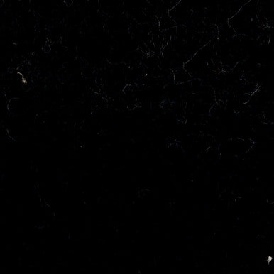 Grade V: Suri Eclipse swatch
