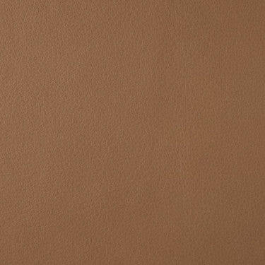 Leather Grade F: Bison Desert swatch