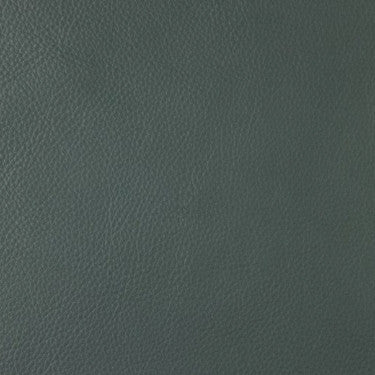 Leather Grade F: Bison Jade swatch