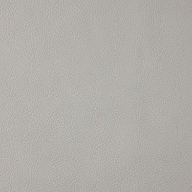 Leather Grade F: Bison Mist swatch