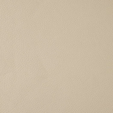 Leather Grade F: Bison Sand swatch