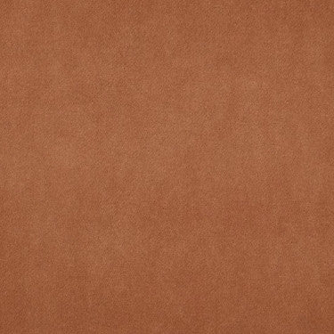 Grade III: Jenson Clay swatch