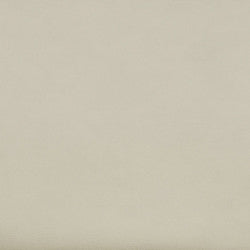 Grade V: Toray Ultrasuede Beige swatch