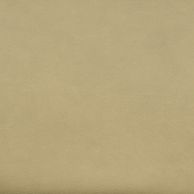 Grade V: Toray Ultrasuede Sand swatch