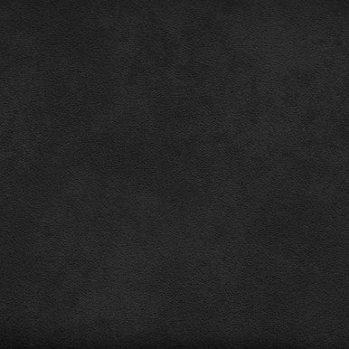 Grade V: Toray Ultrasuede Black Onyx swatch