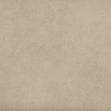 Grade V: Toray Ultrasuede Chamois swatch