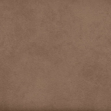 Grade V: Toray Ultrasuede Desert Camel swatch