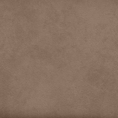 Grade V: Toray Ultrasuede Fawn swatch