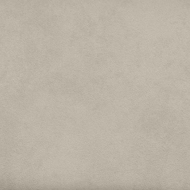 Grade V: Toray Ultrasuede Sandstone swatch
