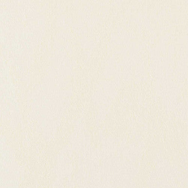 Grade V: Toray Ultrasuede Crystal swatch