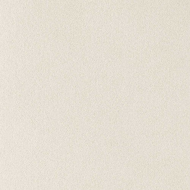 Grade V: Toray Ultrasuede Natural Tan swatch