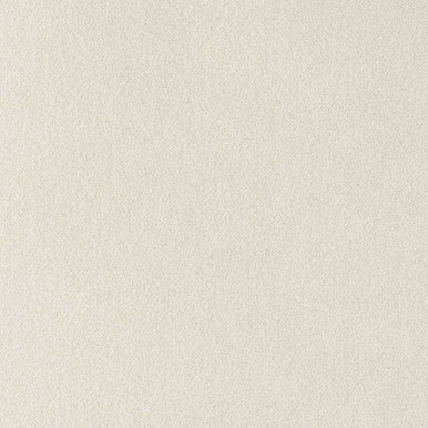 Grade V: Toray Ultrasuede Parchment swatch