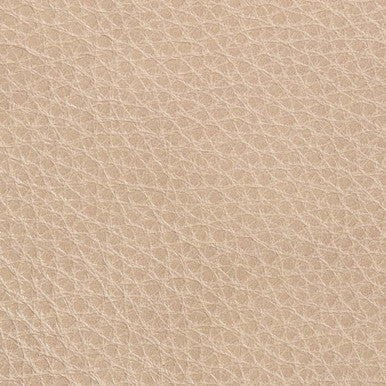 Leather Grade C: Titan Champagne swatch