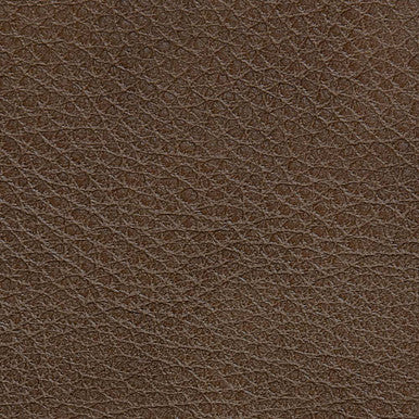 Leather Grade C: Titan Truffle swatch