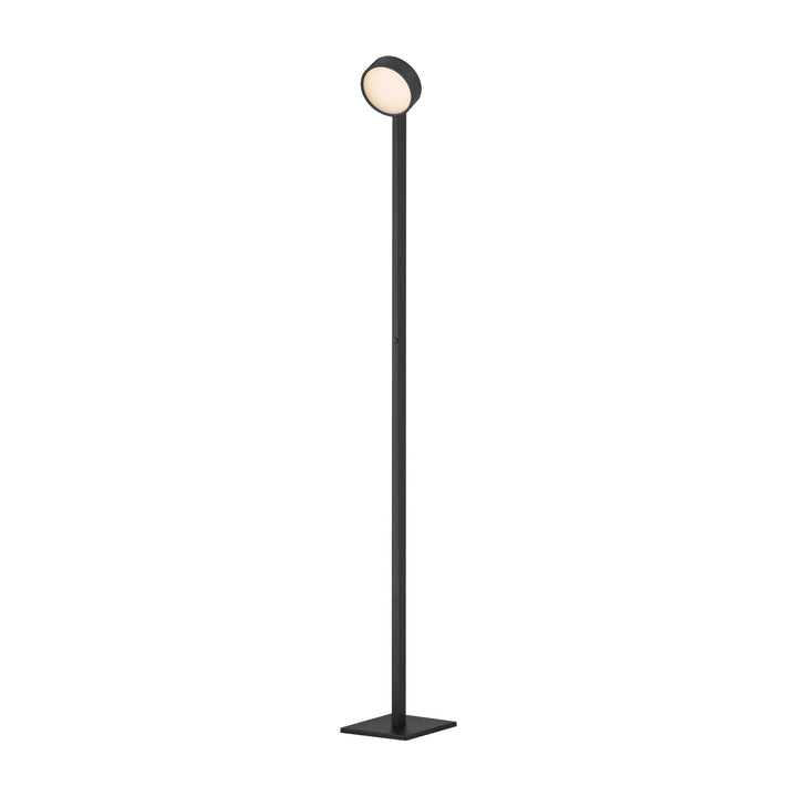 Embrace Adjustable Floor Lamp by Studio M Lighting