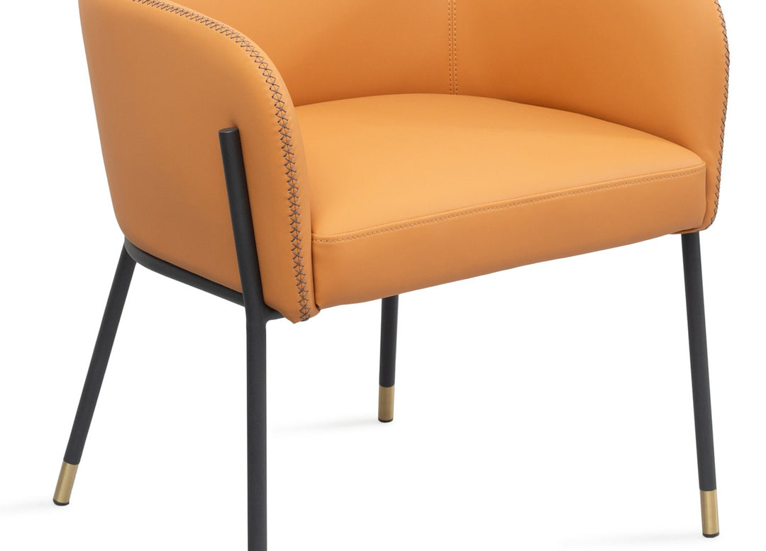 Heidi Dining Armchair by Whiteline Modern Living – lifestyle