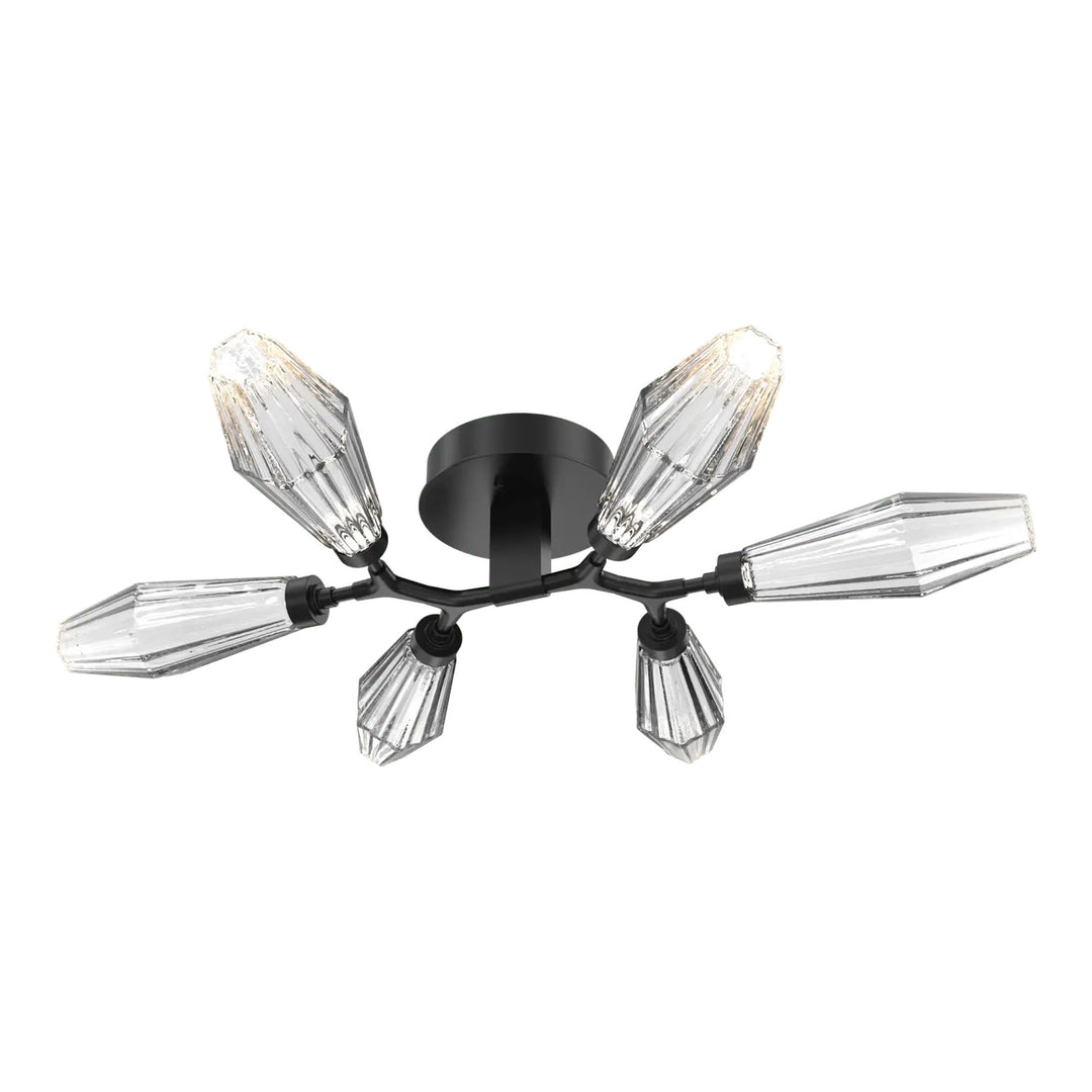Aalto Organic Flush Mount Light by Hammerton Studio in Matte Black with Clear glass