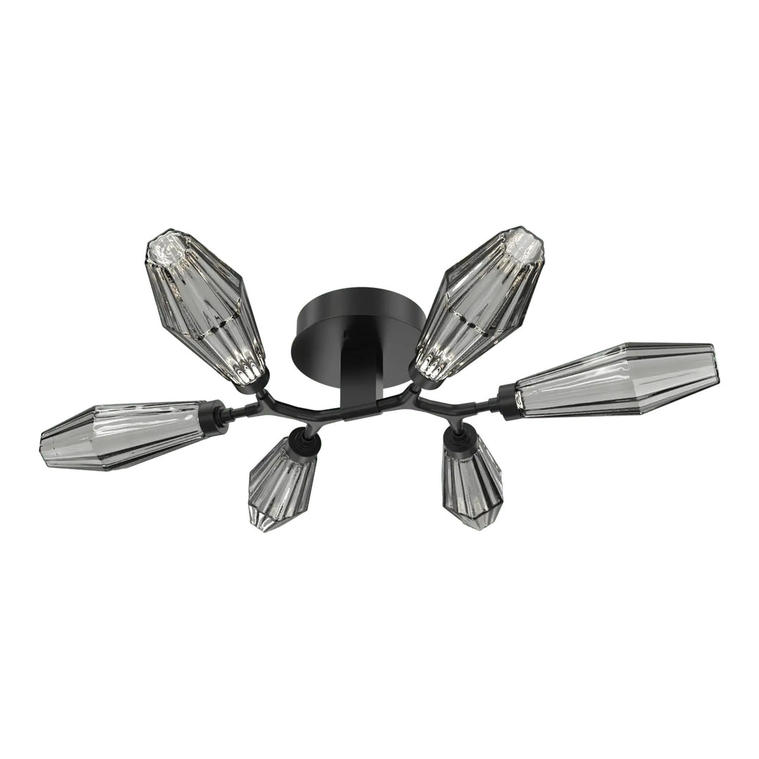 Aalto Organic Flush Mount Light by Hammerton Studio in Matte Black with Smoke glass