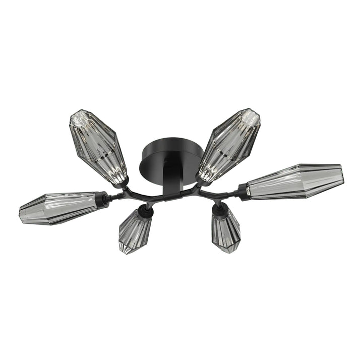 Aalto Organic Flush Mount Light by Hammerton Studio in Matte Black with Smoke glass
