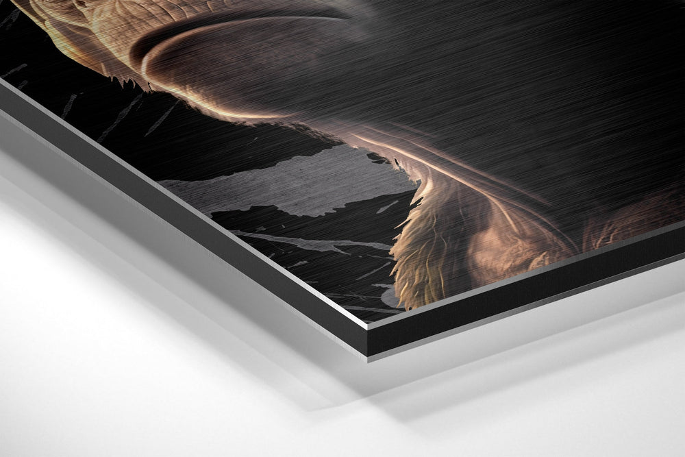 3 Wise Monkeys Brushed Aluminum Dibond Wall Art.
