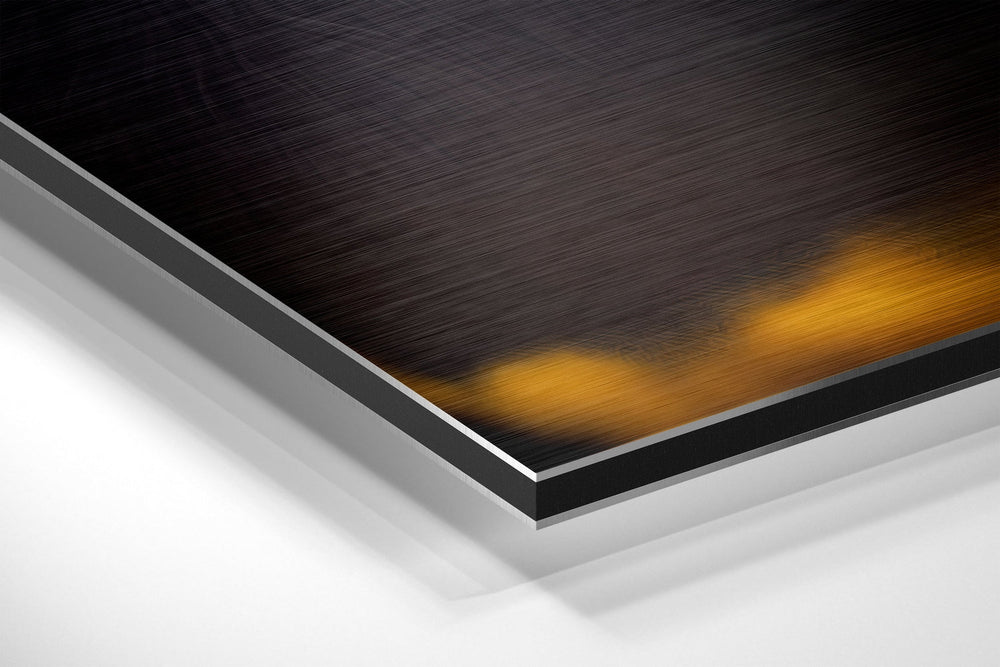 Wise Monkey Brushed Aluminum Dibond Wall Art.