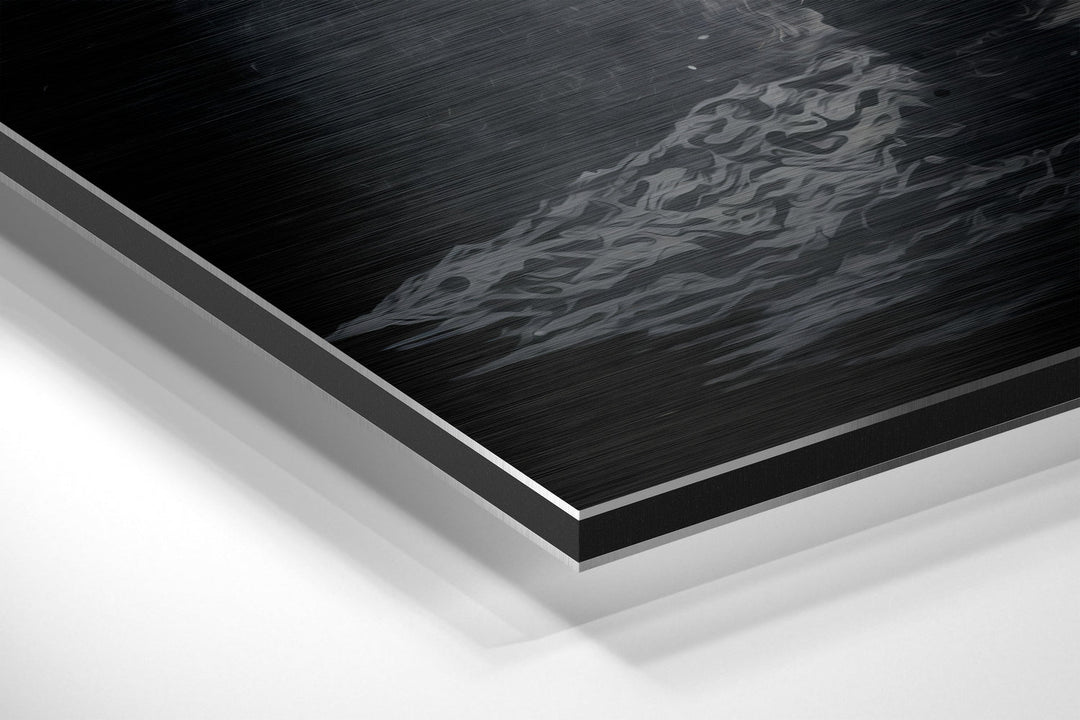 Astronaut  Brushed Aluminum Dibond Wall Art.