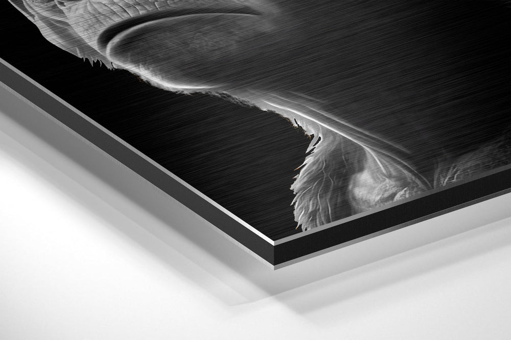3 Wise Monkeys Brushed Aluminum Dibond Wall Art.