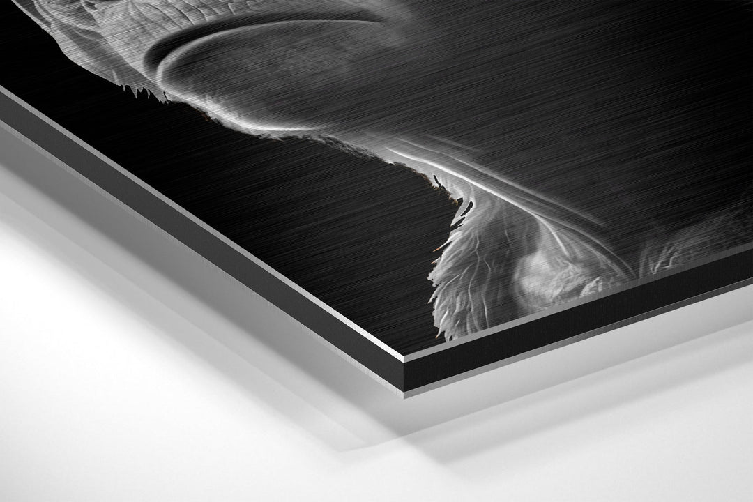 3 Wise Monkeys Brushed Aluminum Dibond Wall Art.