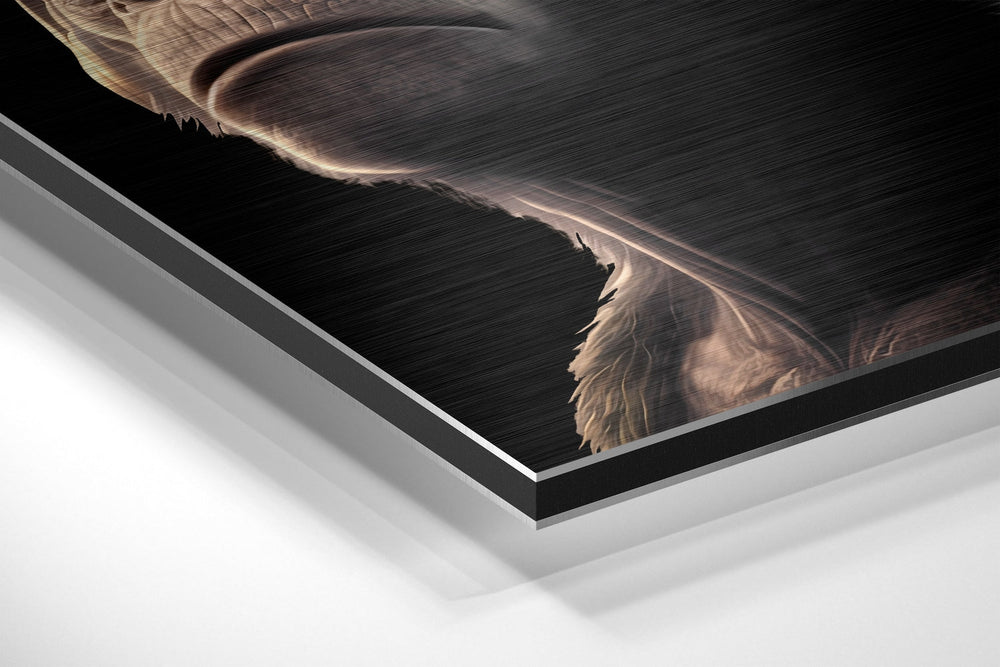3 Wise Monkeys Brushed Aluminum Dibond Wall Art.